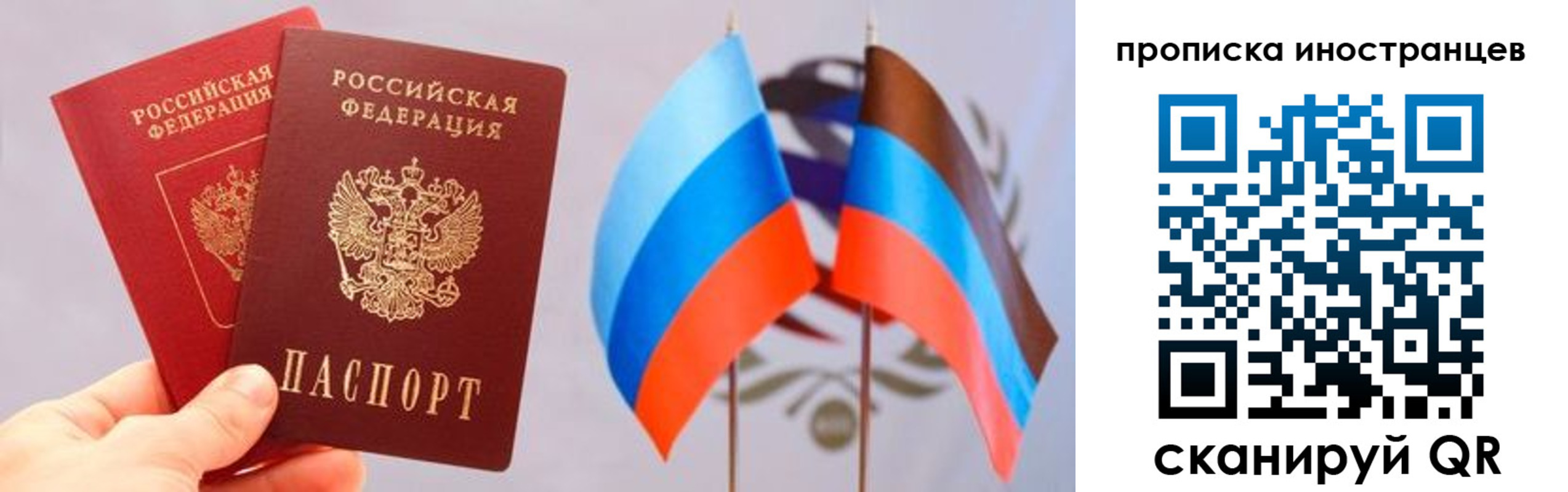 прописка для работы в Светлогорске